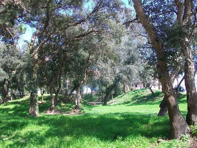 יורט דה מאר Oyo Hotel Goya ספרד